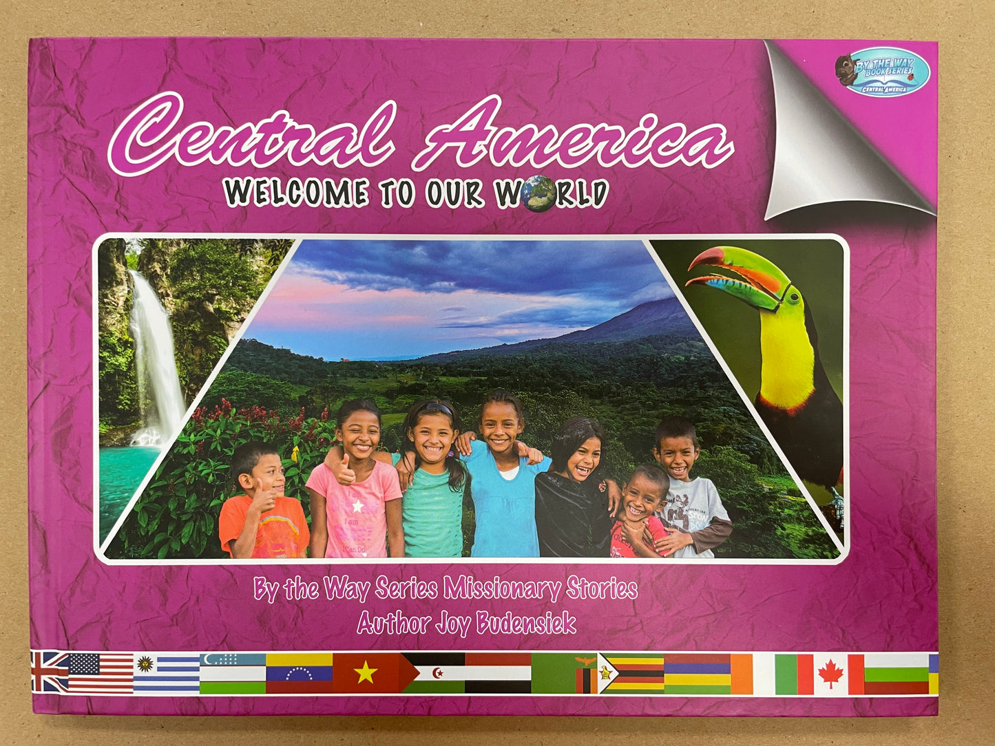 Central America by Joy Budensiek