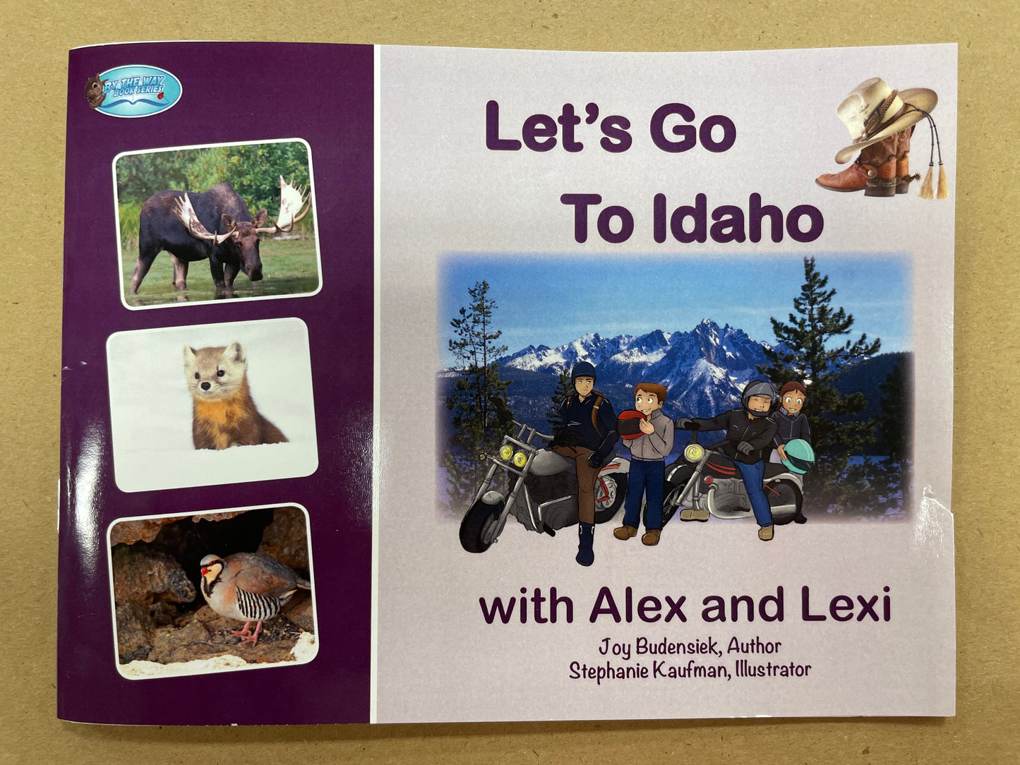 Let's Go To Idaho by Joy Budensiek